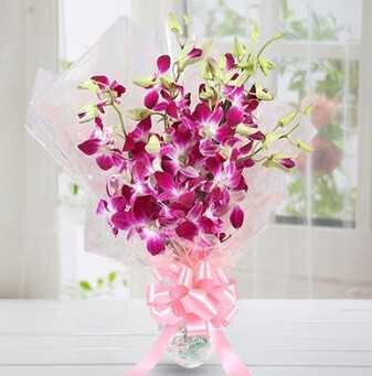 Plant Gifts