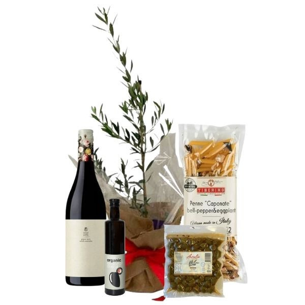 Olive tree gift wrapped for a housewarming Olive Tree Gifts Online