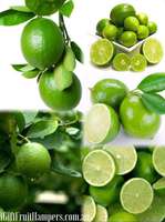 Lime Fruit Facts