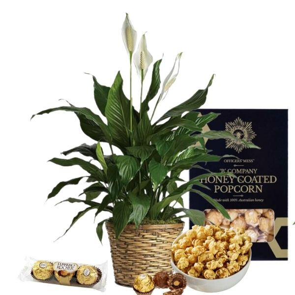 sympathy gifts