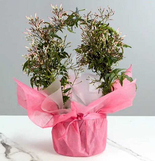 unique gifts australia