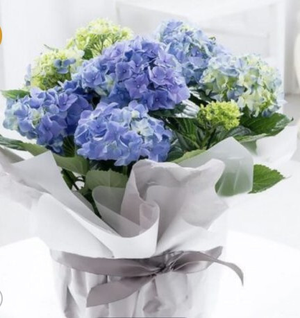 condolence gifts